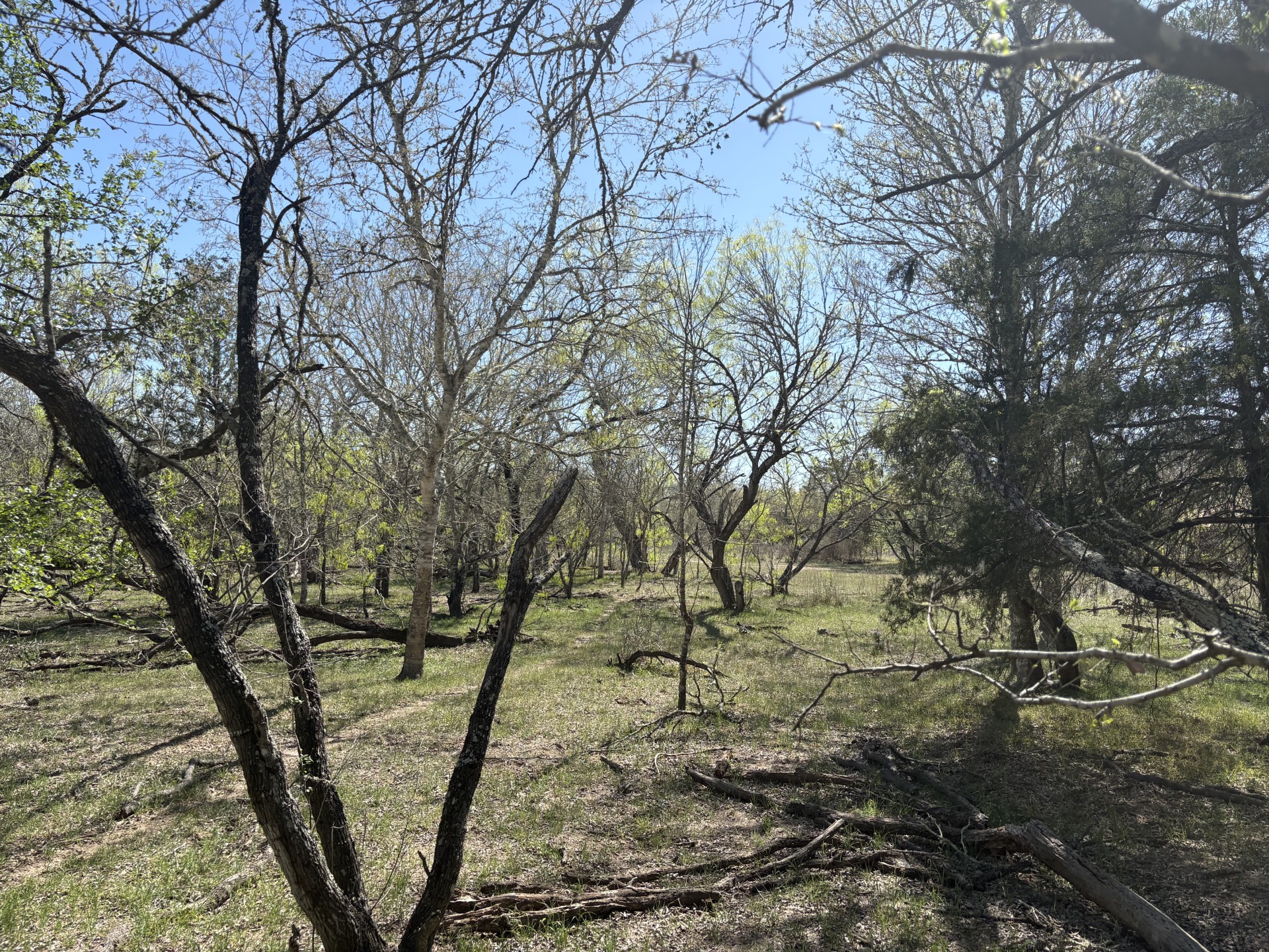 Tbd Anchor Ranch Loop Flatonia, TX 78941 - Photo 12 of 28