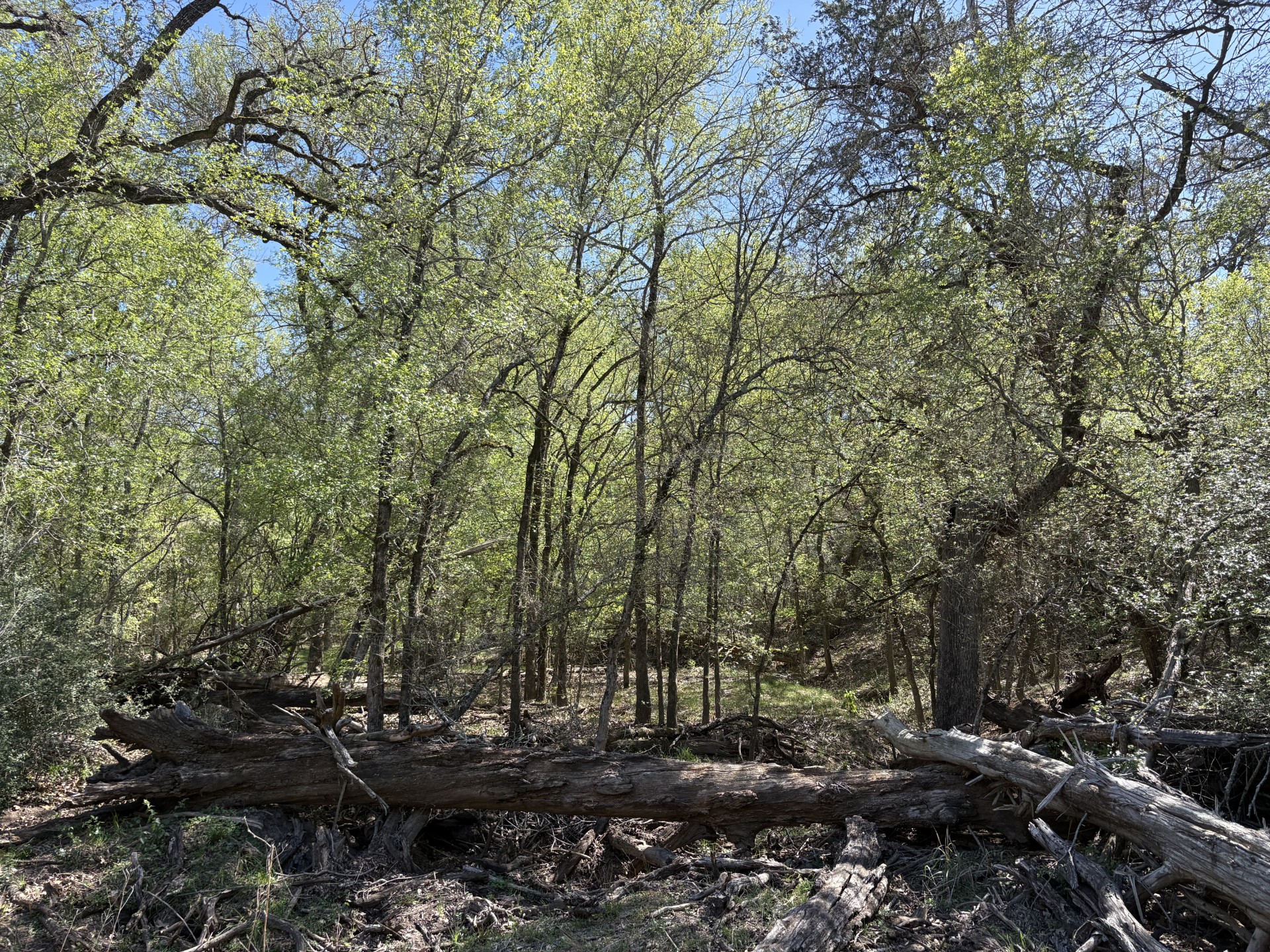Tbd Anchor Ranch Loop Flatonia, TX 78941 - Photo 13 of 28
