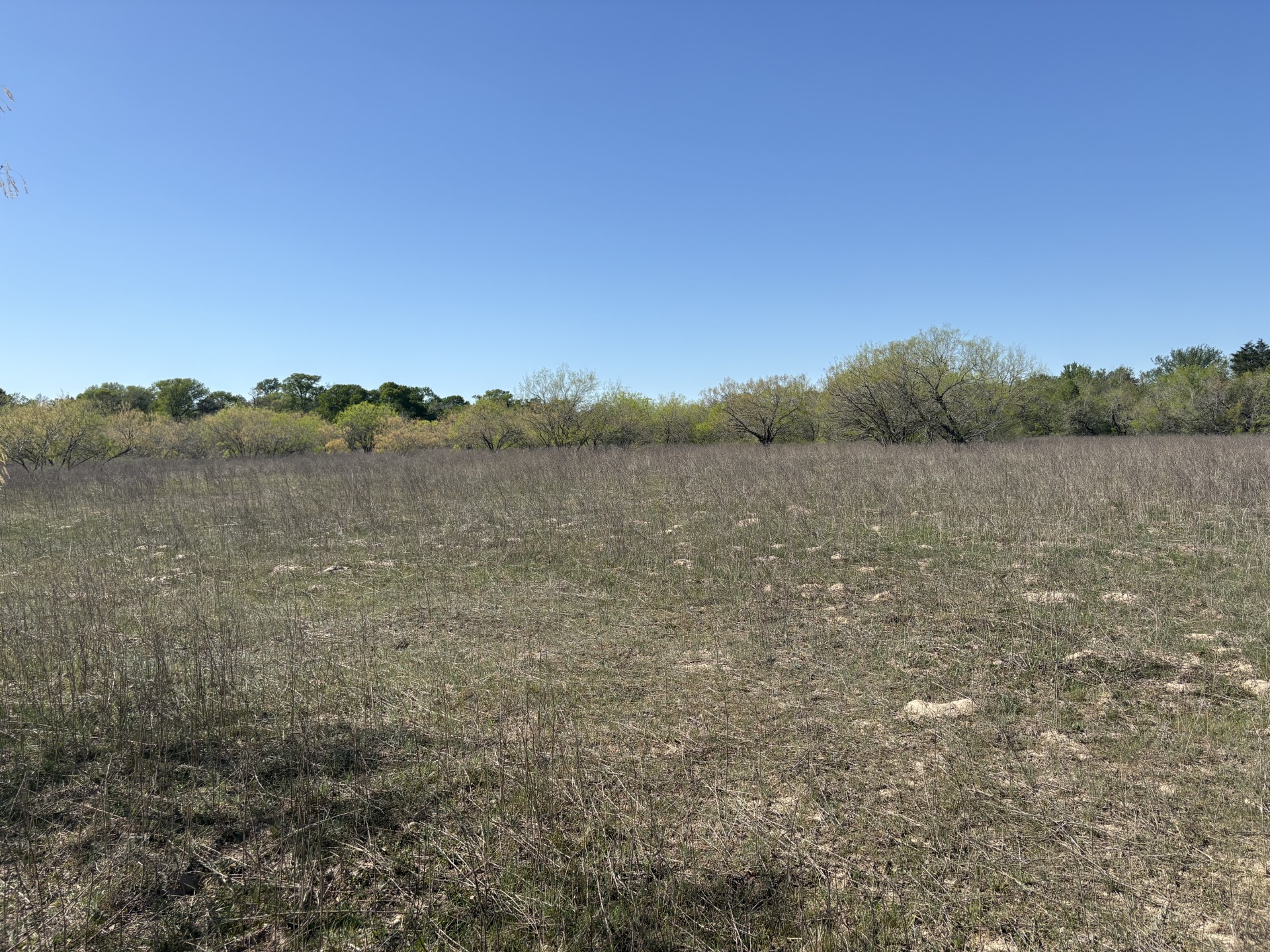 Tbd Anchor Ranch Loop Flatonia, TX 78941 - Photo 15 of 28