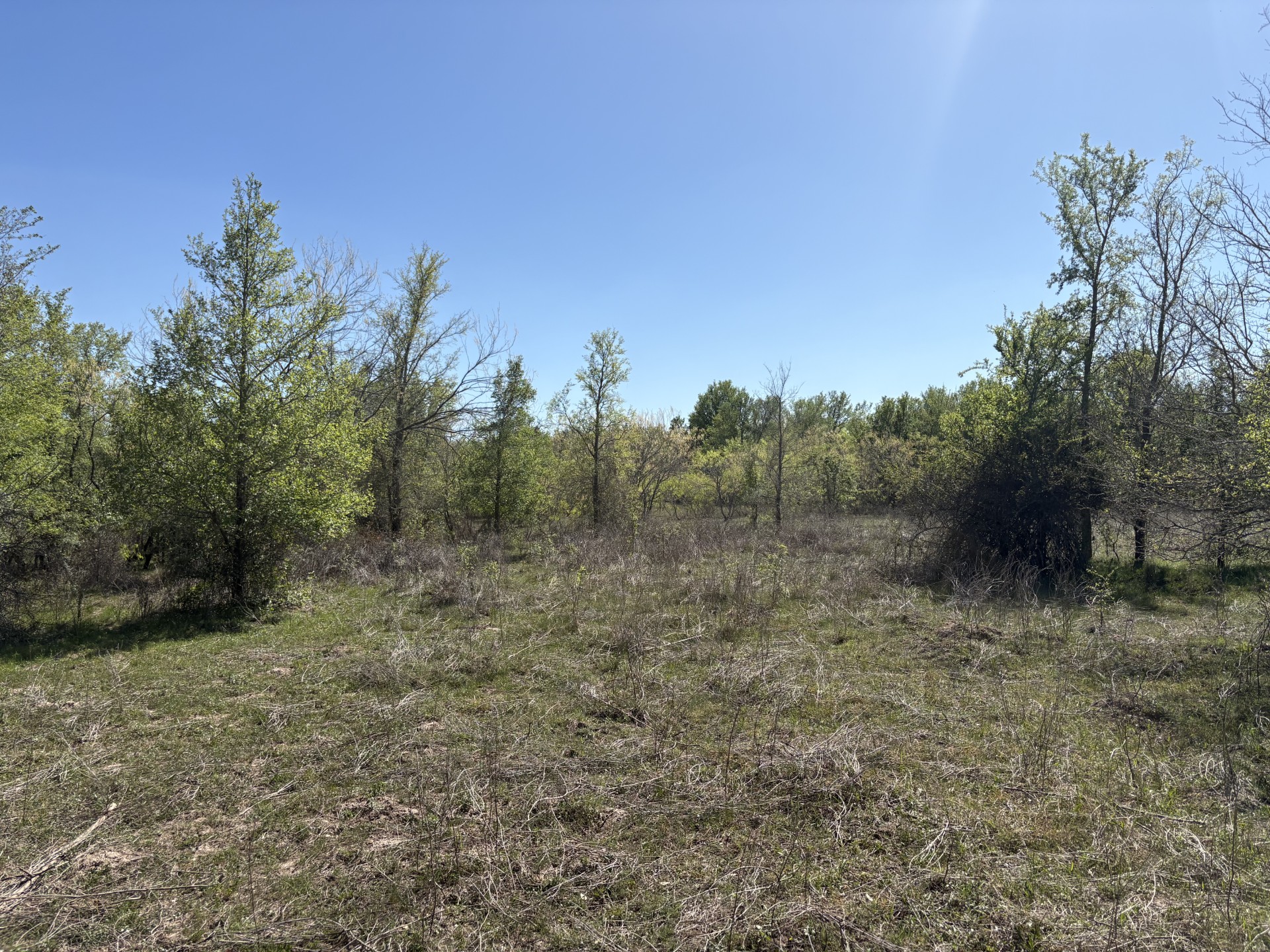Tbd Anchor Ranch Loop Flatonia, TX 78941 - Photo 19 of 28