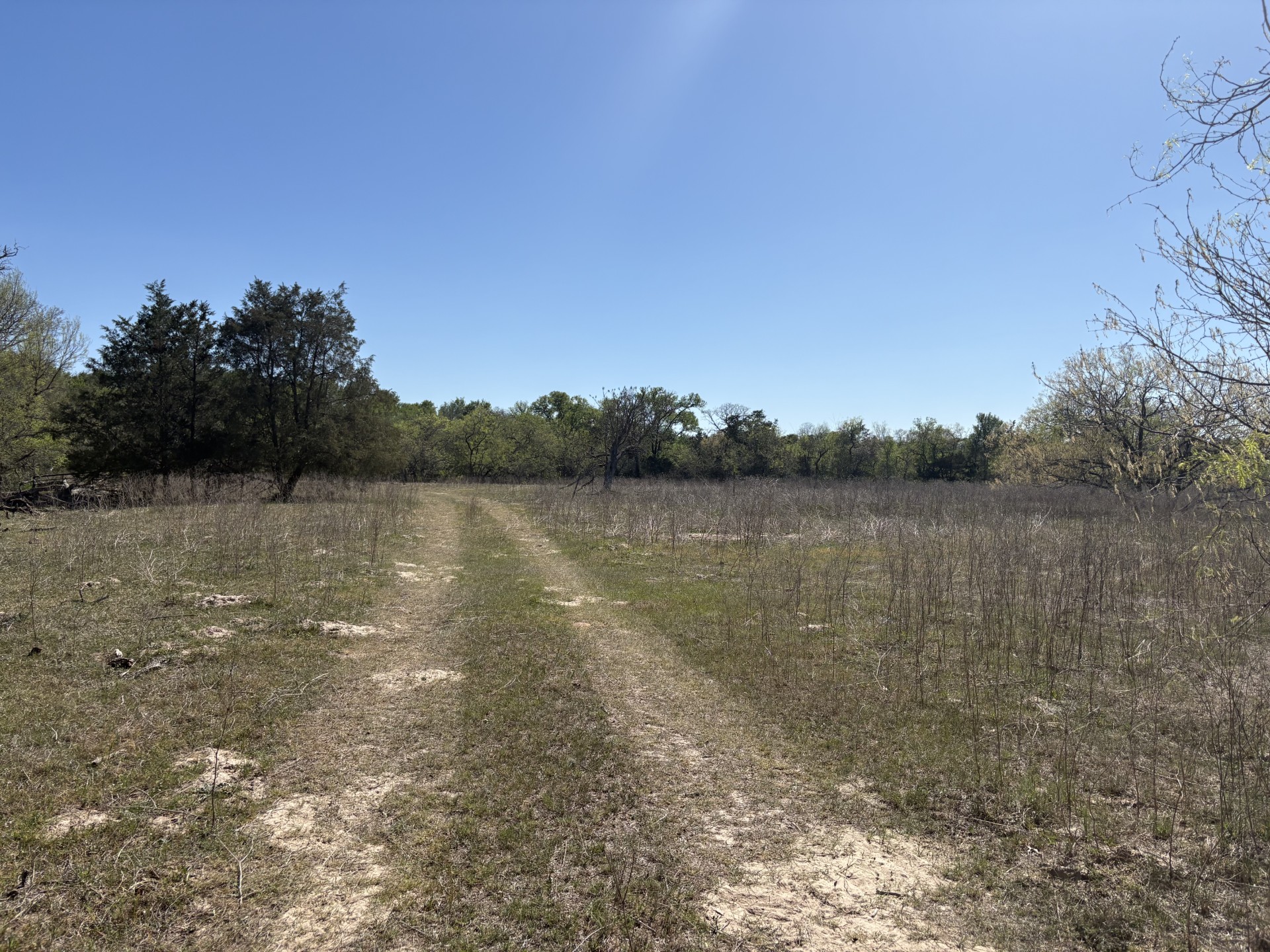 Tbd Anchor Ranch Loop Flatonia, TX 78941 - Photo 20 of 28