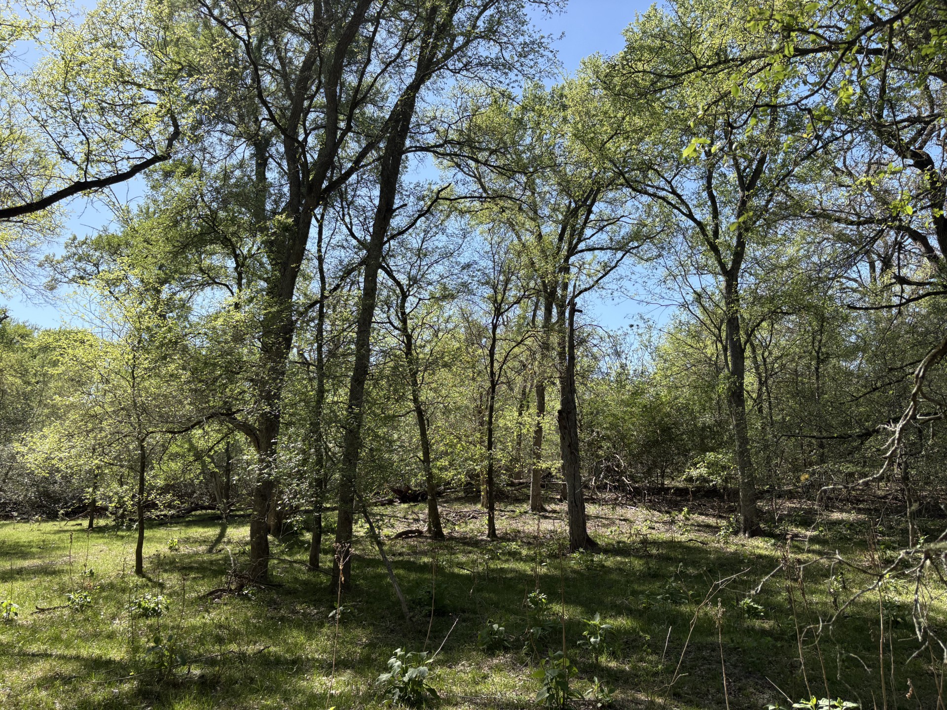 Tbd Anchor Ranch Loop Flatonia, TX 78941 - Photo 21 of 28
