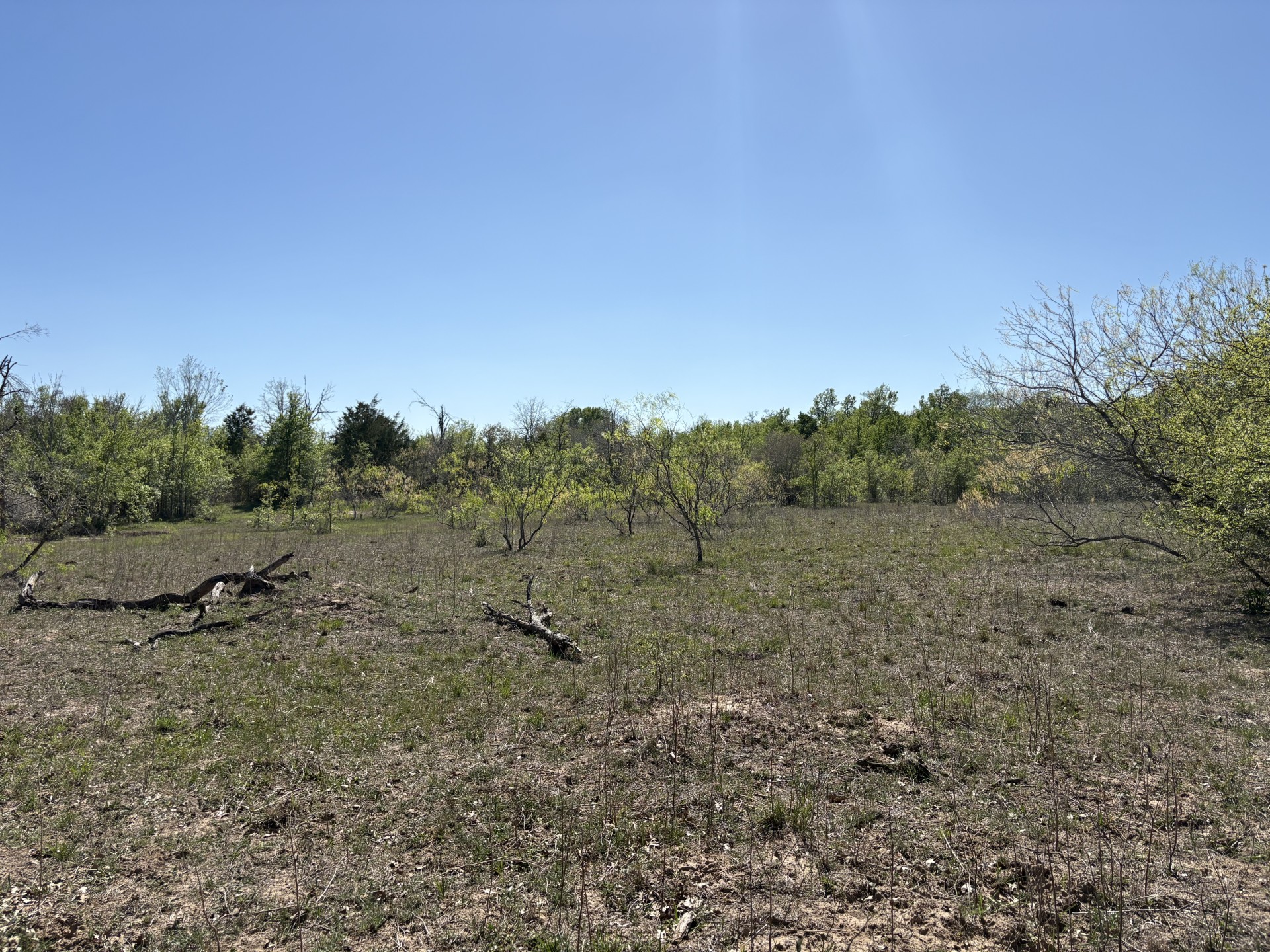 Tbd Anchor Ranch Loop Flatonia, TX 78941 - Photo 24 of 28
