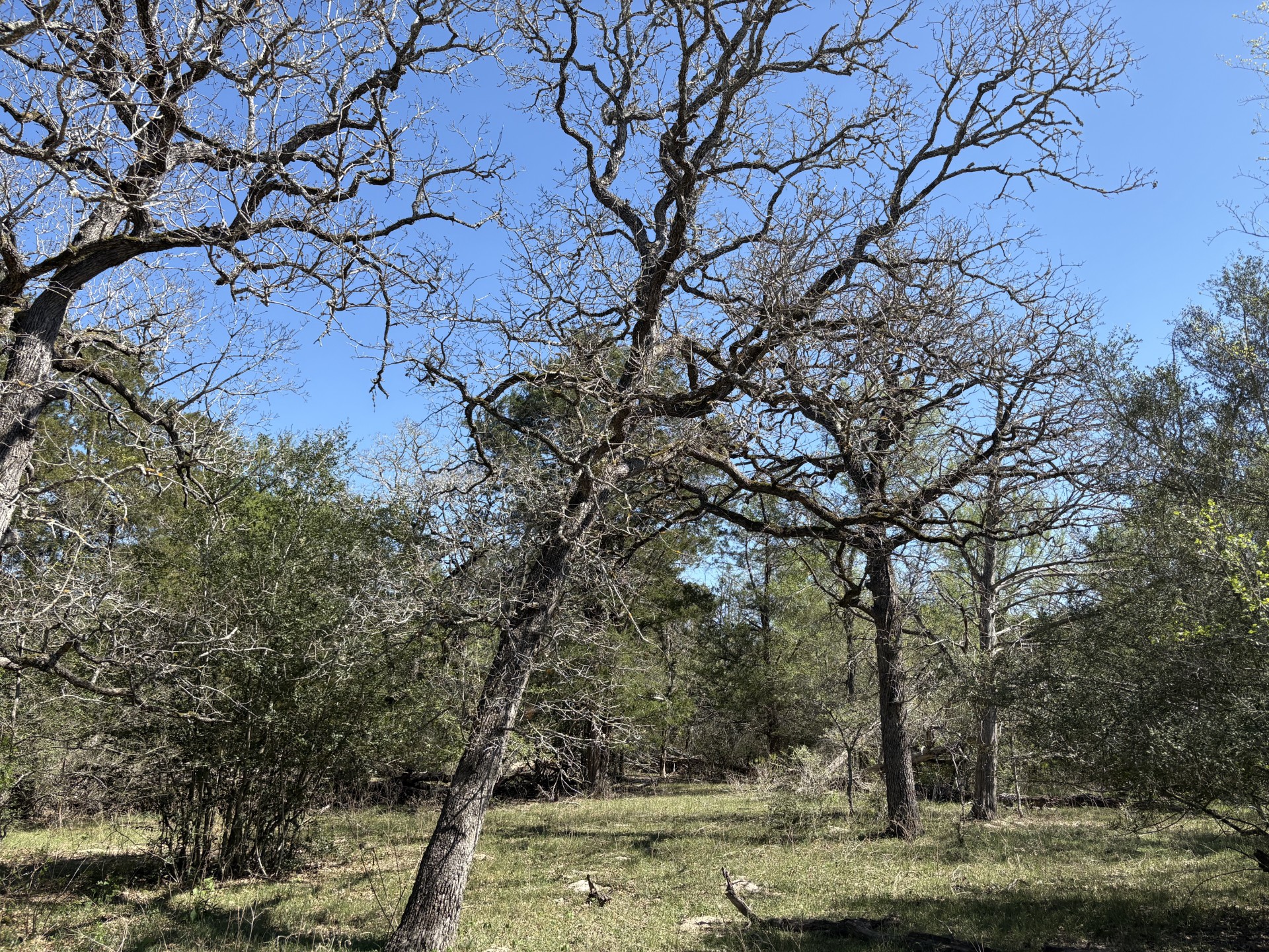 Tbd Anchor Ranch Loop Flatonia, TX 78941 - Photo 25 of 28