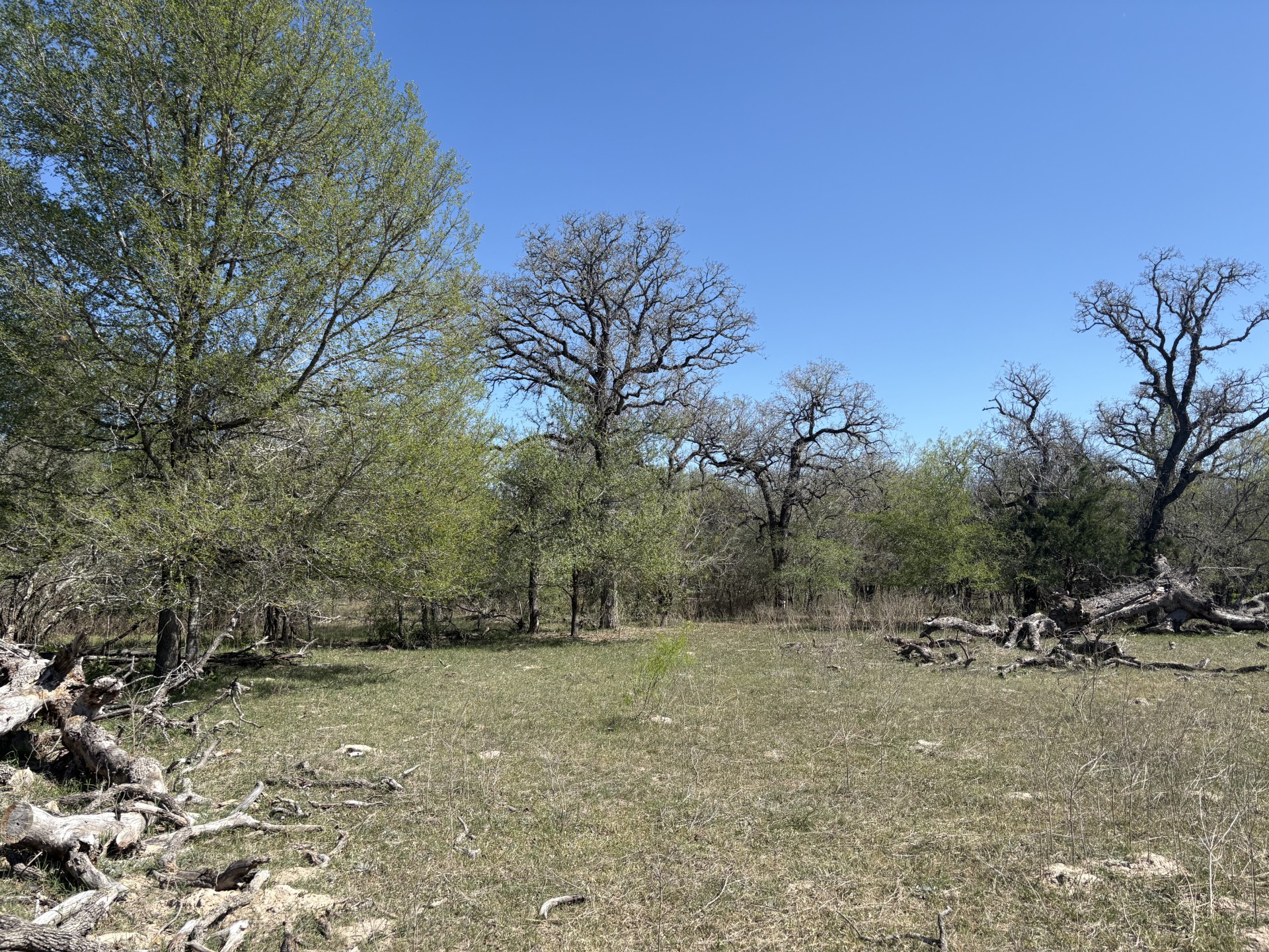 Tbd Anchor Ranch Loop Flatonia, TX 78941 - Photo 26 of 28