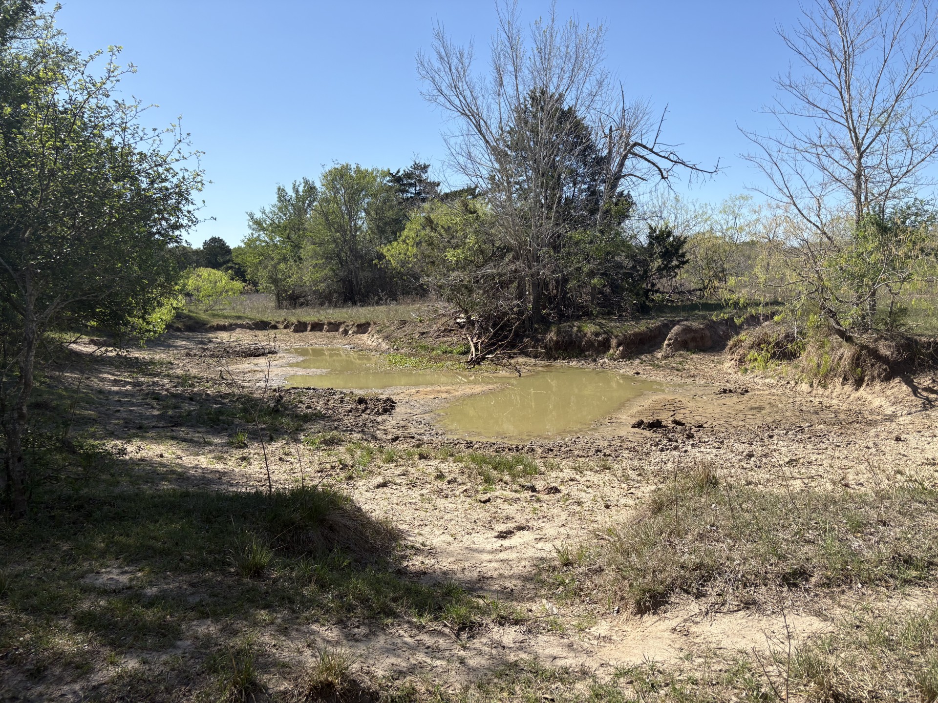 Tbd Anchor Ranch Loop Flatonia, TX 78941 - Photo 27 of 28
