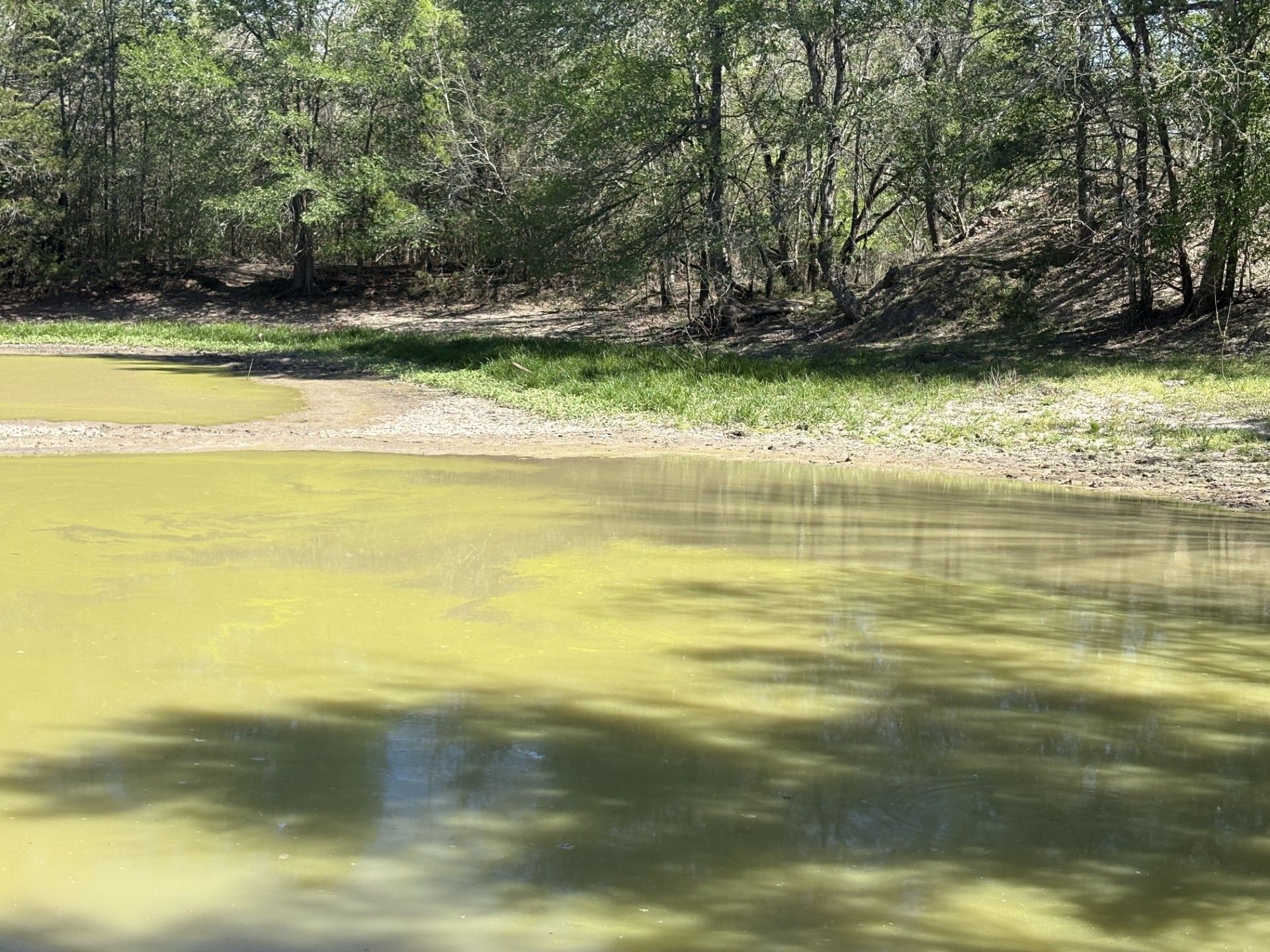 Tbd Anchor Ranch Loop Flatonia, TX 78941 - Photo 28 of 28