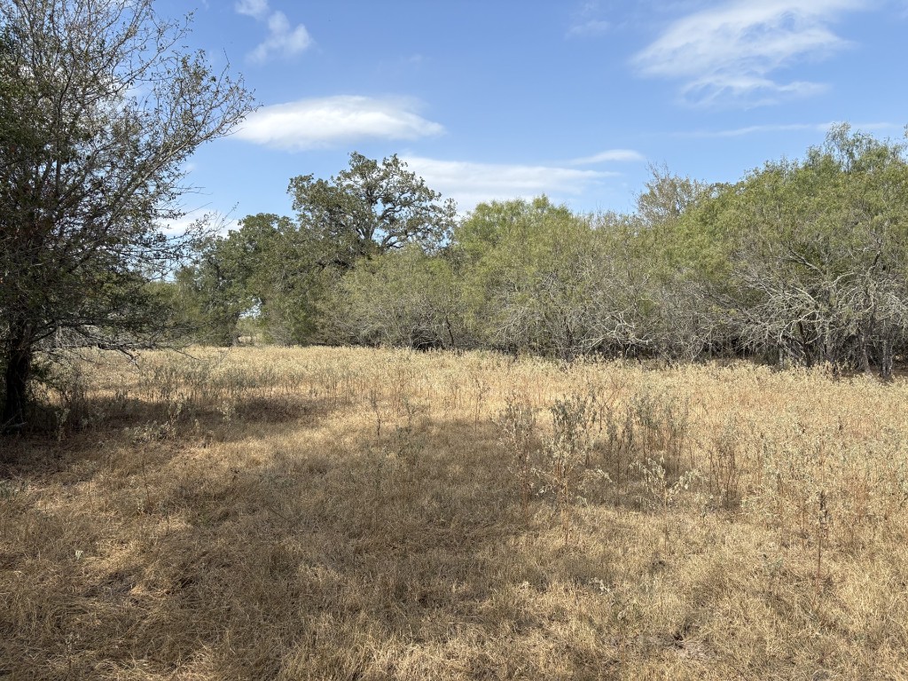 Tbd 207.5-acres Tbd 207.5-acres Anchor Ranch Loop Flatonia, TX 78941 - Photo 3 of 20 a view of a yard covered with snow