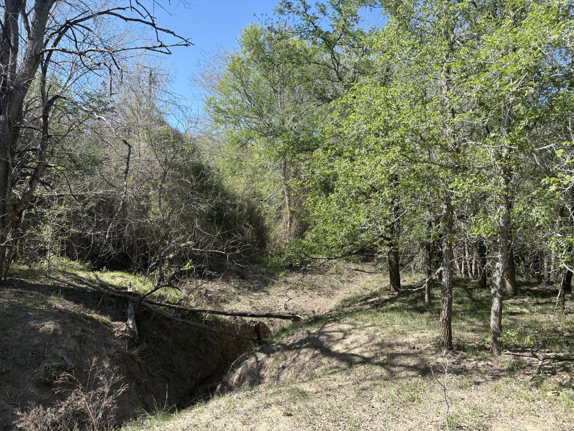 Tbd Anchor Ranch Loop Flatonia, TX 78941 - Photo 7 of 28
