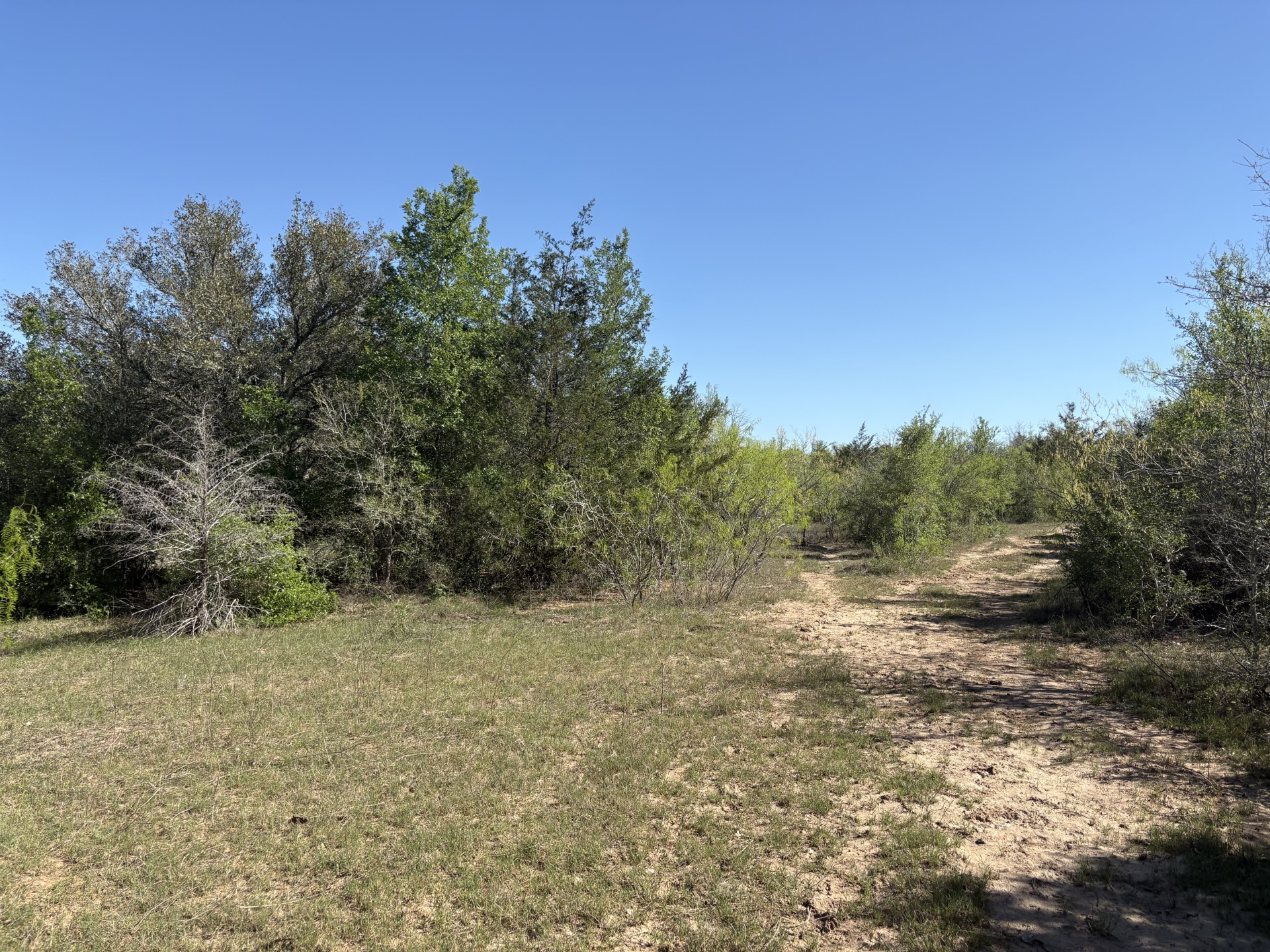 Tbd Anchor Ranch Loop Flatonia, TX 78941 - Photo 8 of 28