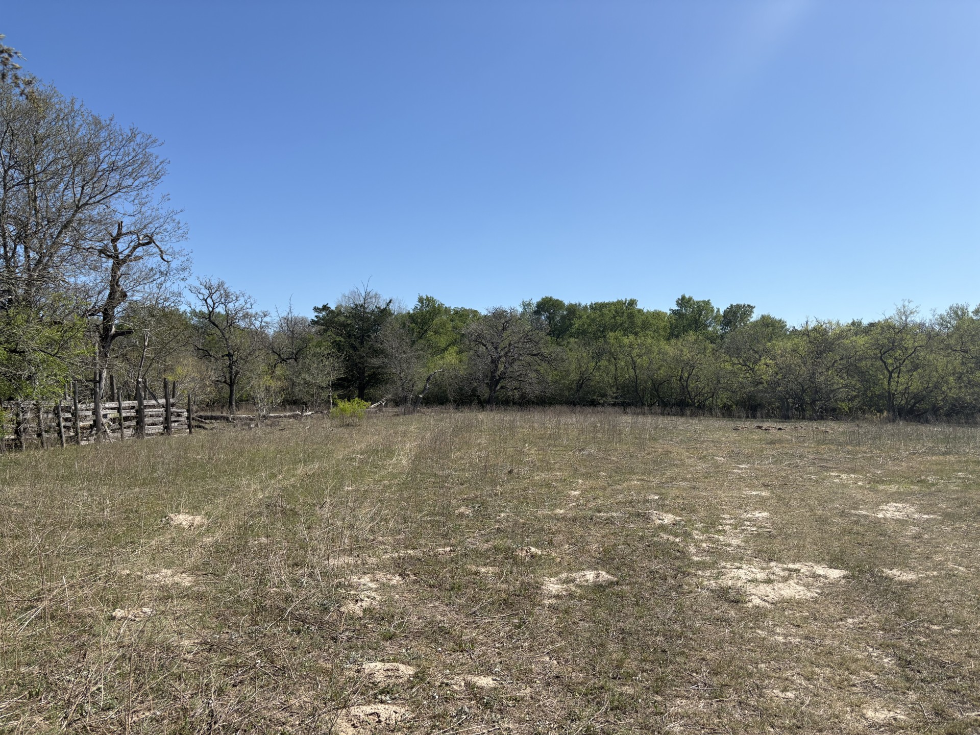 Tbd Anchor Ranch Loop Flatonia, TX 78941 - Photo 9 of 28