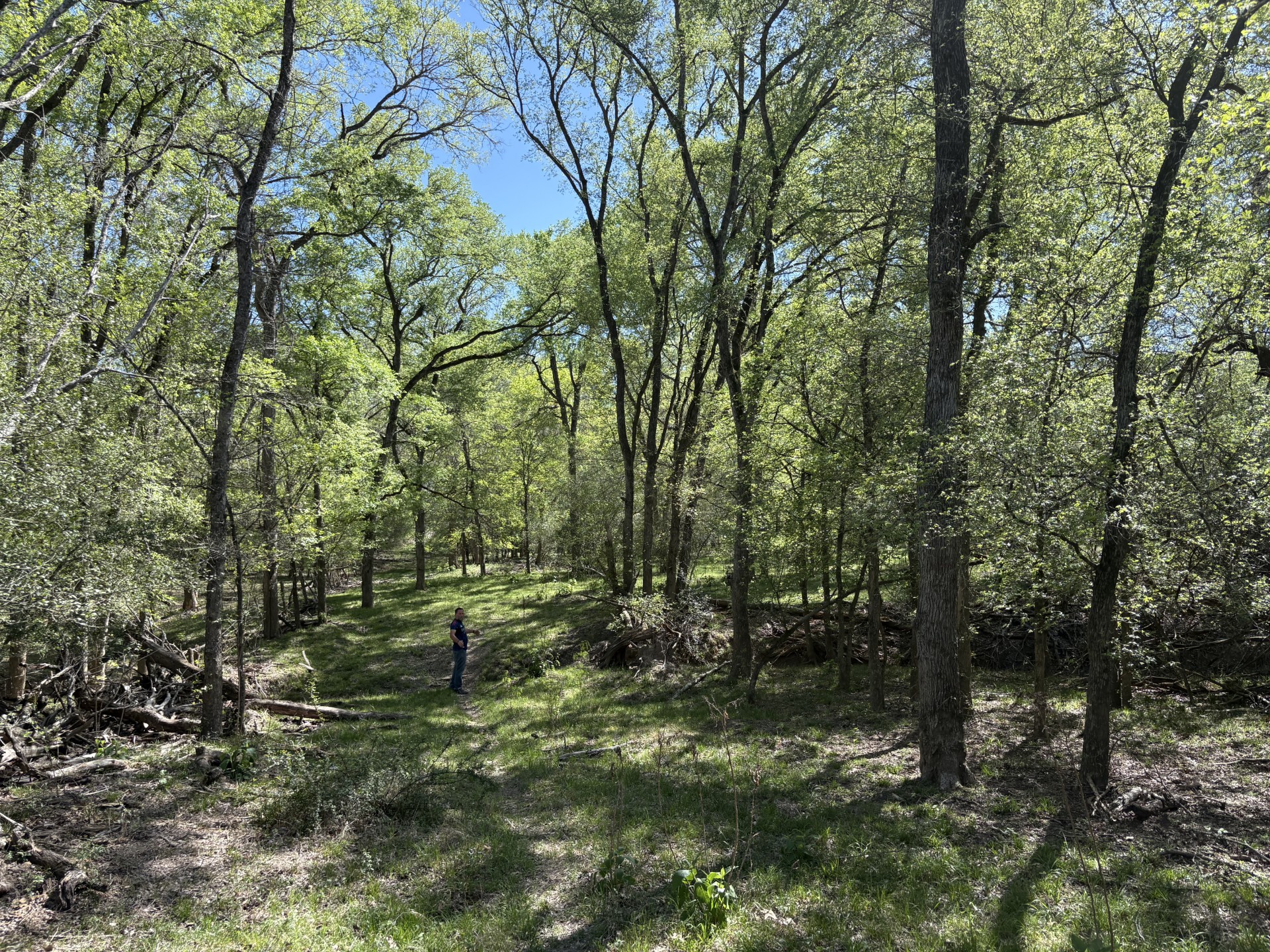 Tbd Anchor Ranch Loop Flatonia, TX 78941 - Photo 10 of 28