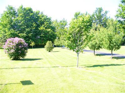 21200 Trufant Road Pierson, MI 49339 - Photo 3 of 24 Additional Photo