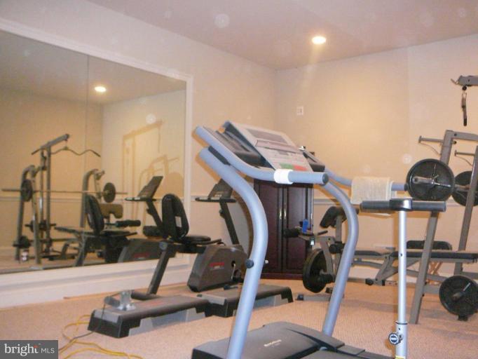 41342 Raspberry Drive Leesburg, VA 20176 - Photo 11 of 24 Fitness Room LL