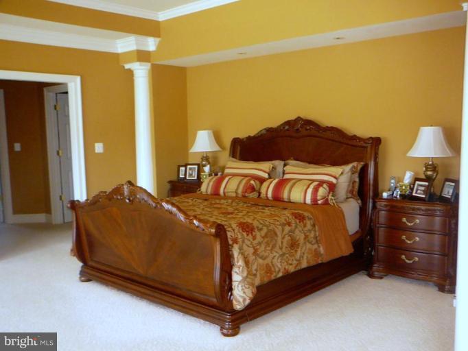 41342 Raspberry Drive Leesburg, VA 20176 - Photo 5 of 24 Master Bedroom