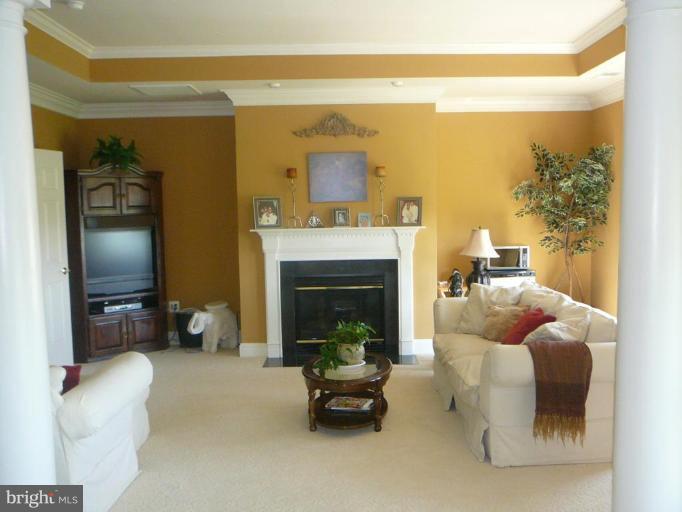 41342 Raspberry Drive Leesburg, VA 20176 - Photo 6 of 24 Masterbedroom