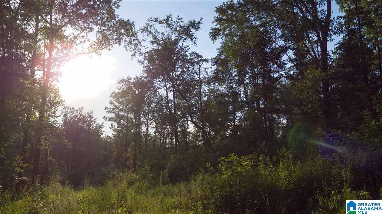 180 Gibson Road, Unit 76 / ACRES OFF GIBSON R Columbiana, AL 35051 - Photo 12 of 50