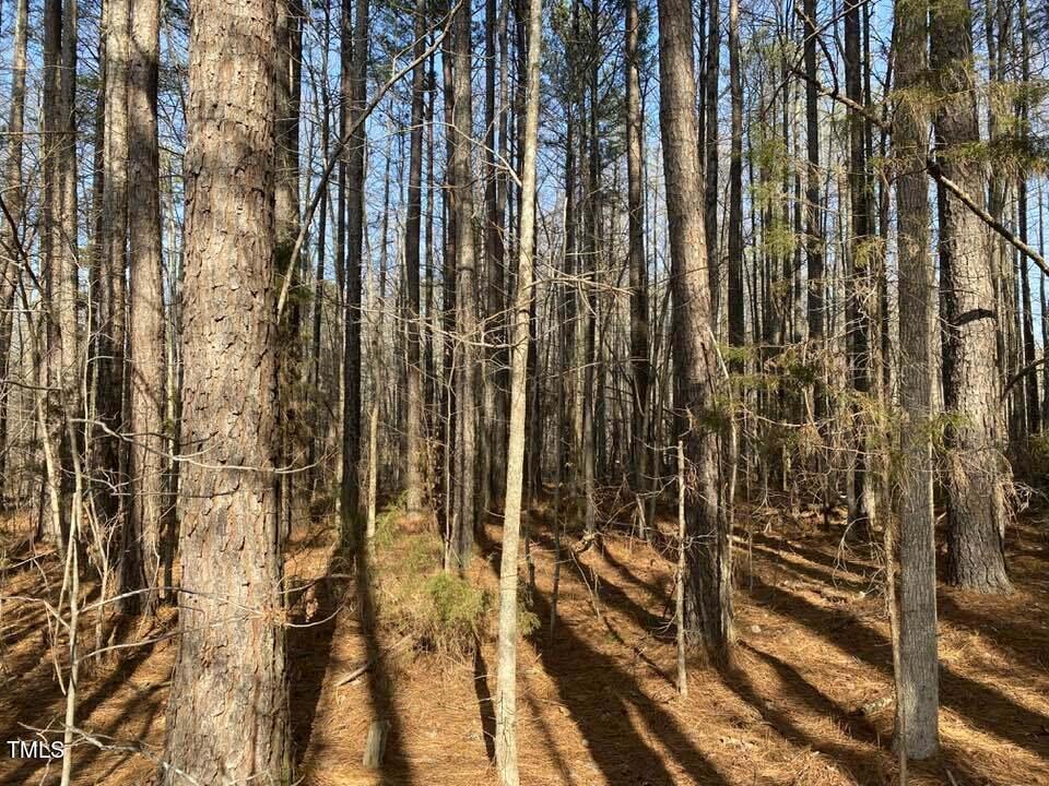 Tract B Old Allensville Road Roxboro, NC 27574 - Photo 2 of 6 429658527_2641613339349674_6802319874806