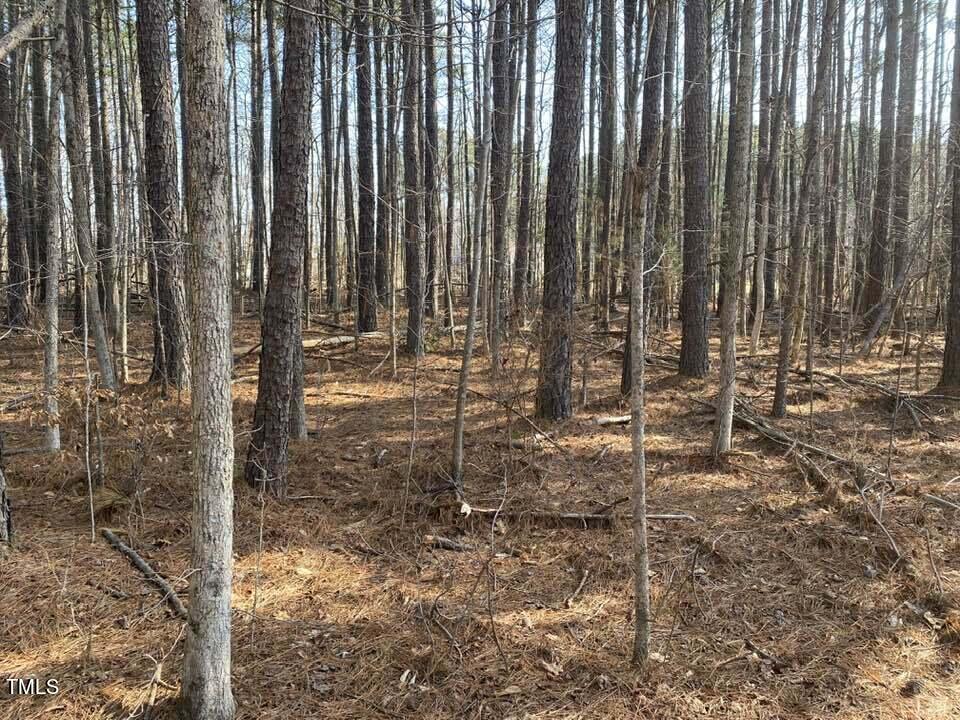Tract B Old Allensville Road Roxboro, NC 27574 - Photo 3 of 6 429658408_2641613452682996_2446239214502
