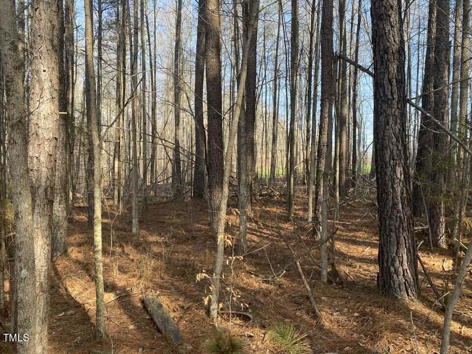 Tract B Old Allensville Road Roxboro, NC 27574 - Photo 4 of 6 429836375_2641613446016330_3294312261782