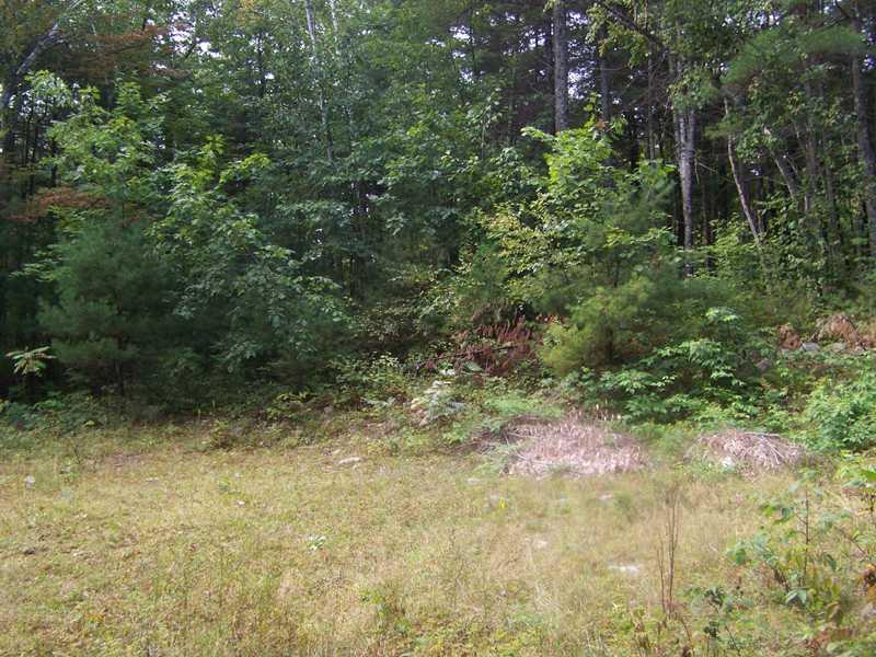 279 Shady Nook Road Newfield, ME 04095 - Photo 5 of 14 Land.