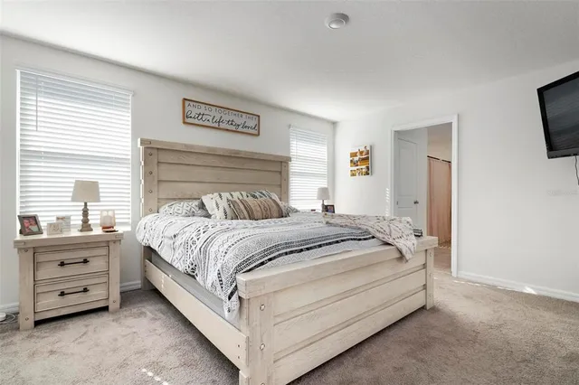 a bedroom with a bed and a tv