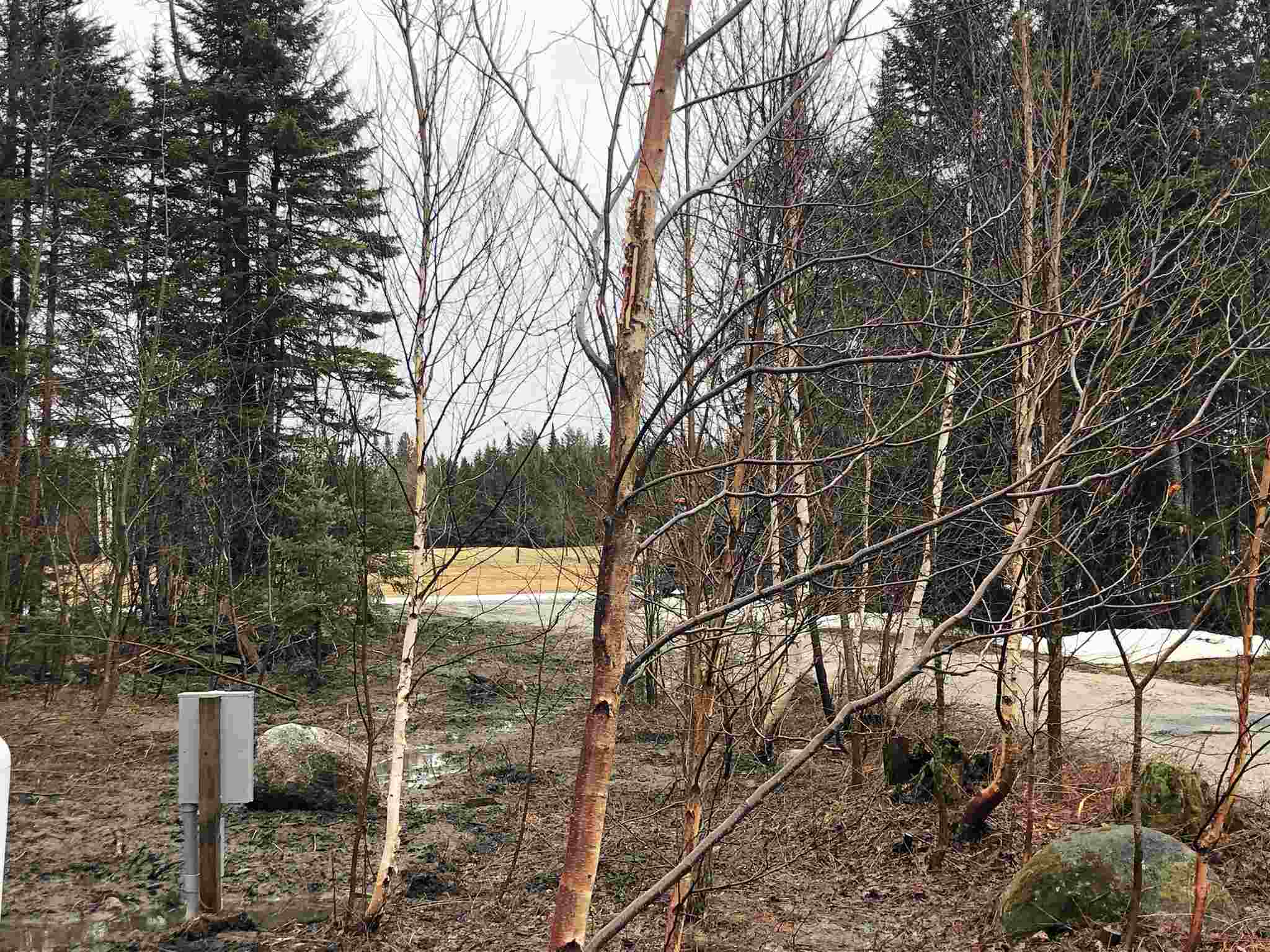 1580 Newark Road Brighton, VT 05846 - Photo 4 of 21 Gallery Image 4