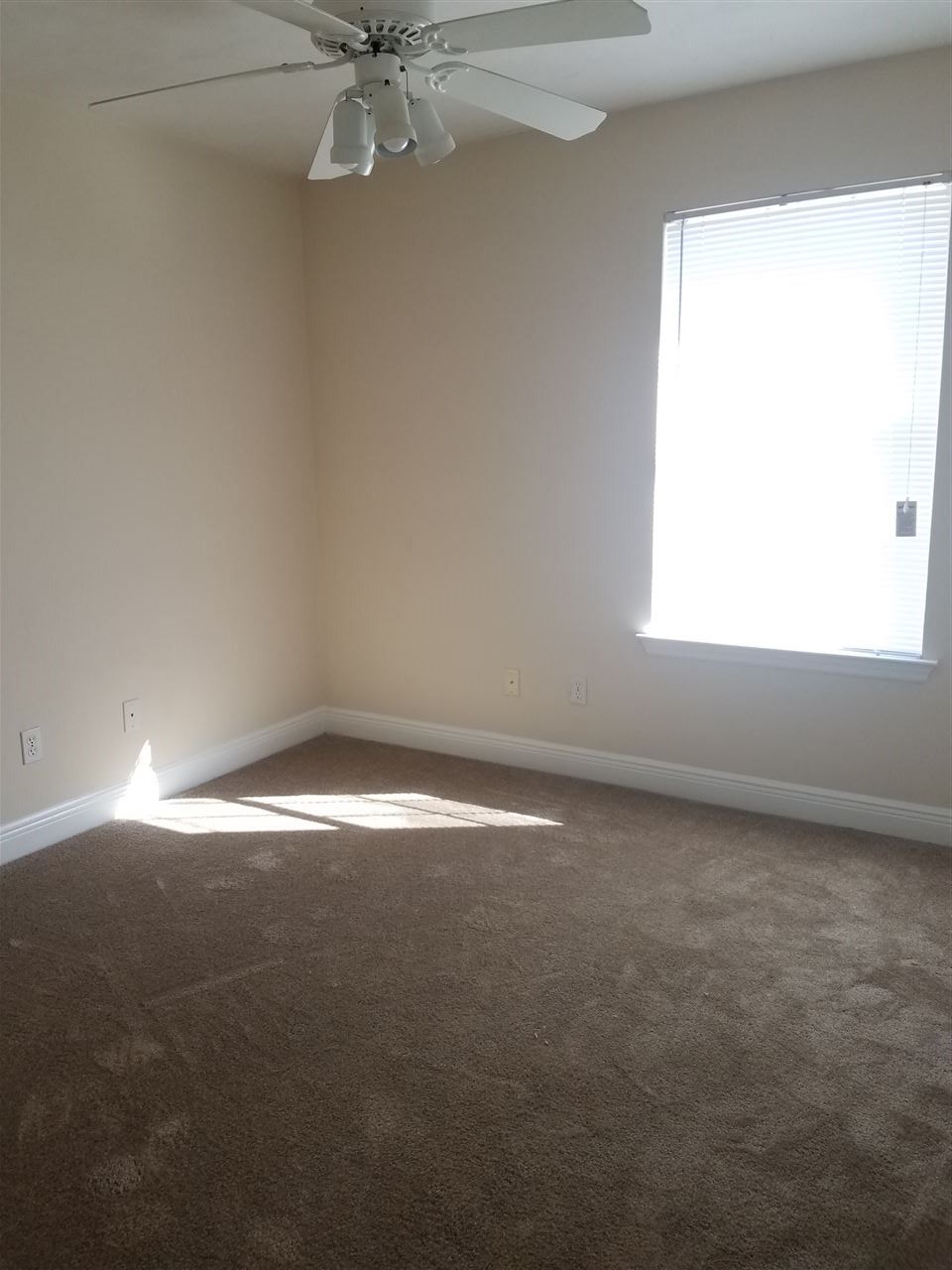 3094 Layla Street Tallahassee, FL 32303 - Photo 16 of 32