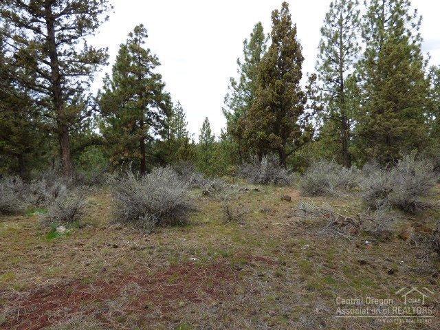 3202 McClellan Road Bend, OR 97702 - Photo 25 of 25 a view of a forest with trees in the background