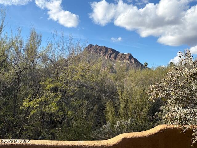 5660 Triangle X Place Tucson, AZ 85713 - Photo 7 of 48 5660 Triangle X Rear Patio View