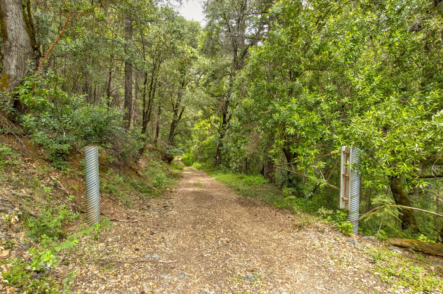26270 Foresthill Road Foresthill, CA 95631 - Photo 47 of 54