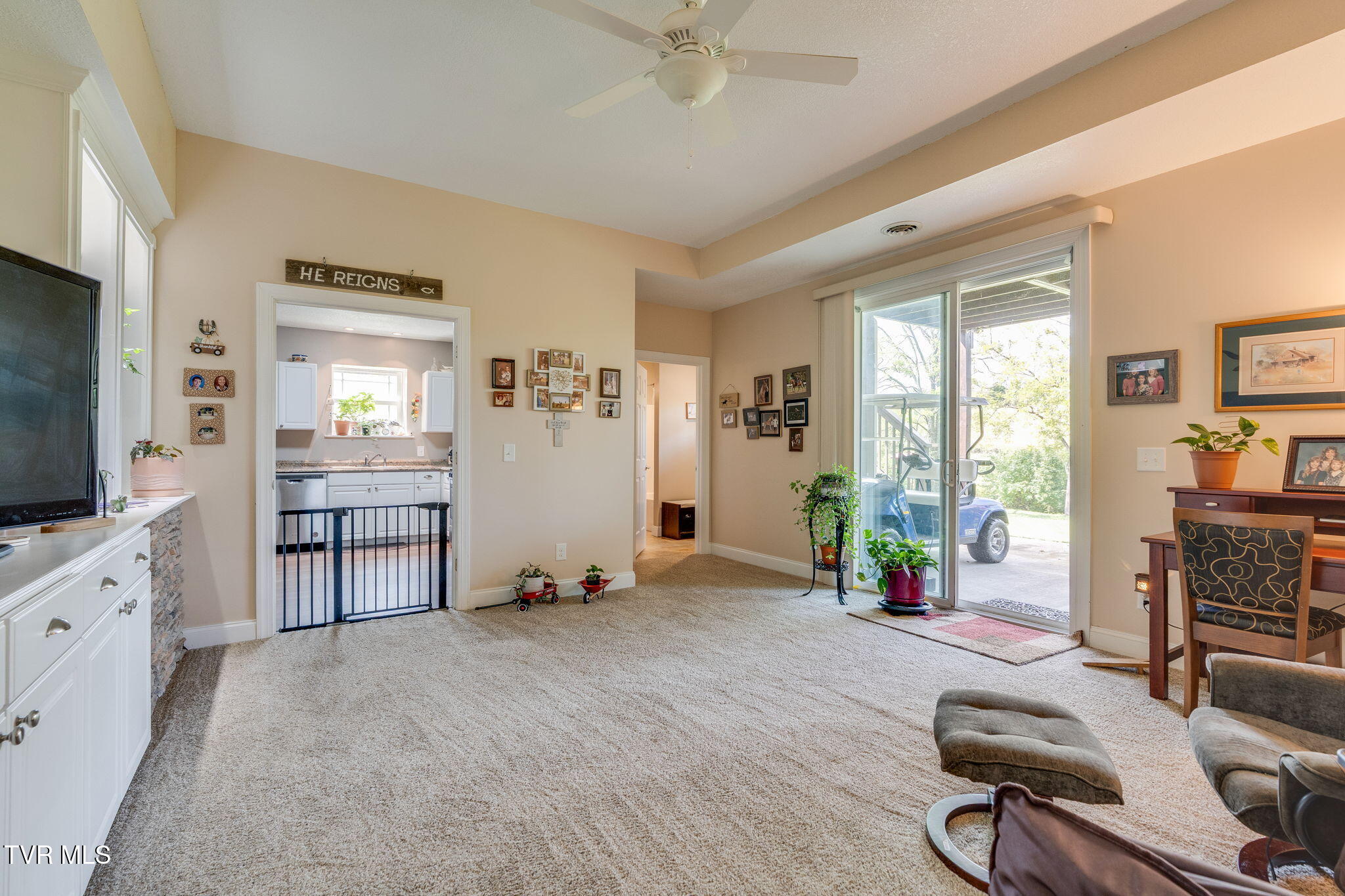 399 Carson Creek Road Limestone, TN 37681 - Photo 43 of 74 034