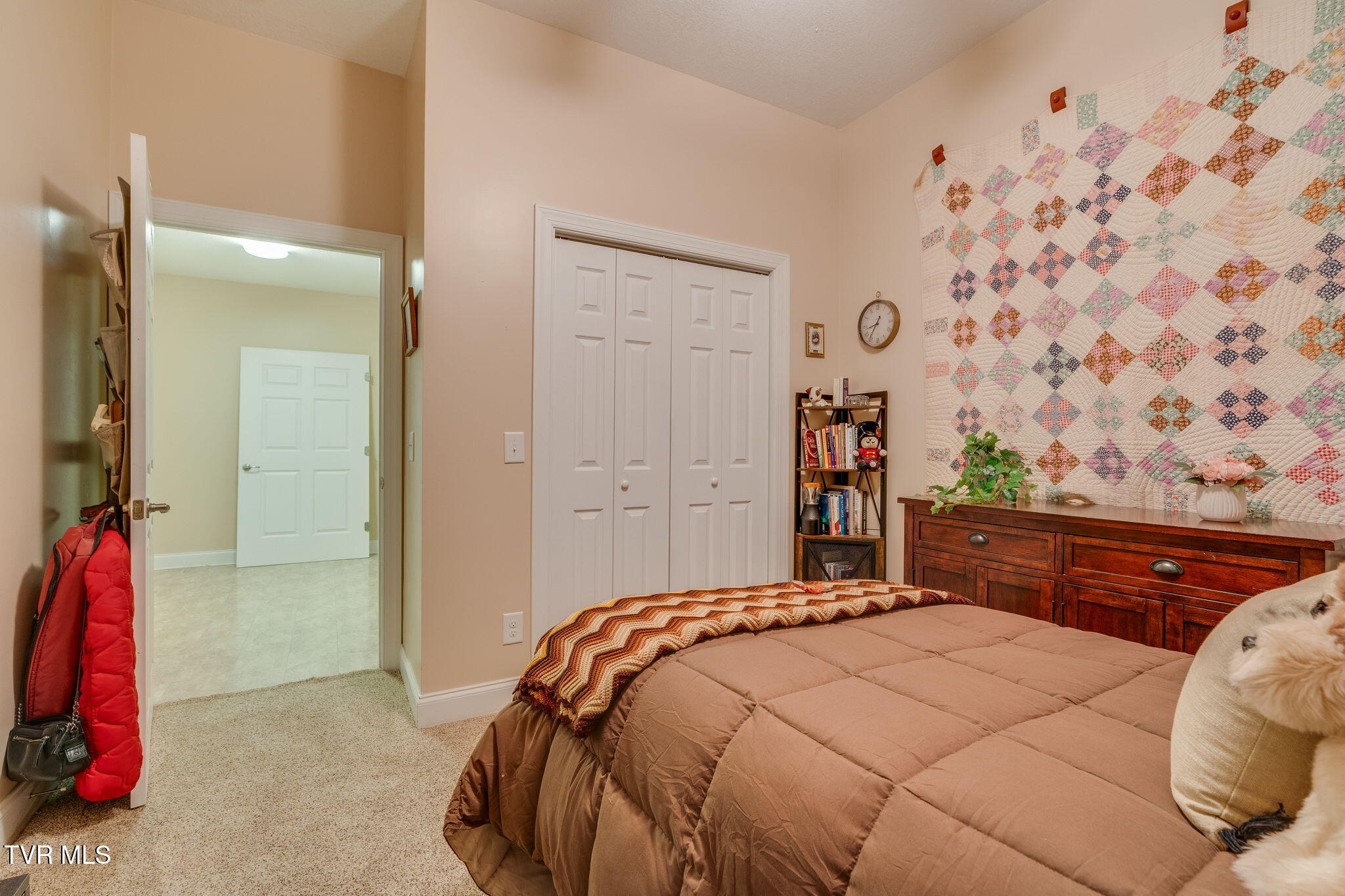 399 Carson Creek Road Limestone, TN 37681 - Photo 51 of 74 043