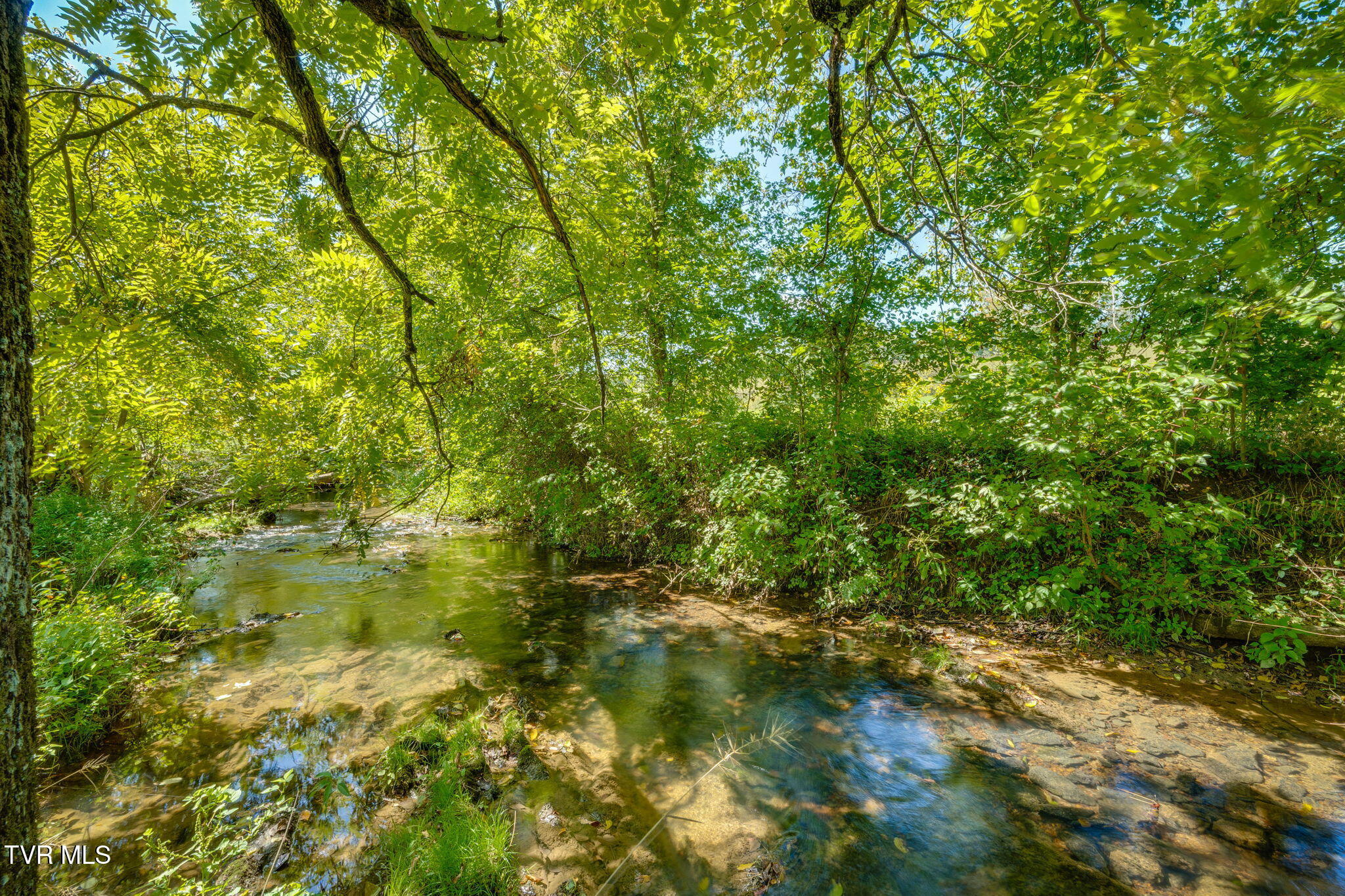 399 Carson Creek Road Limestone, TN 37681 - Photo 65 of 74 015