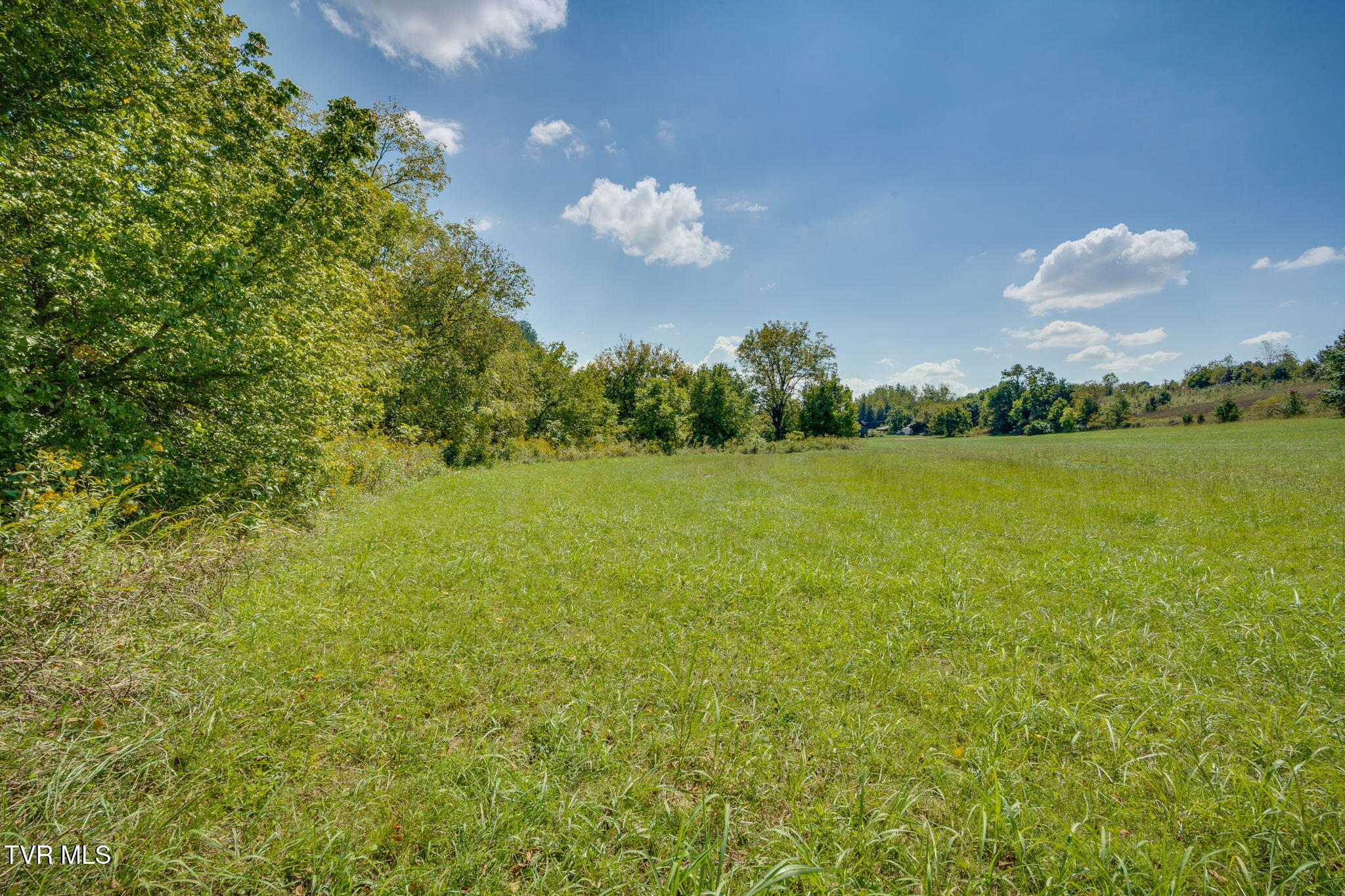 399 Carson Creek Road Limestone, TN 37681 - Photo 69 of 74 016