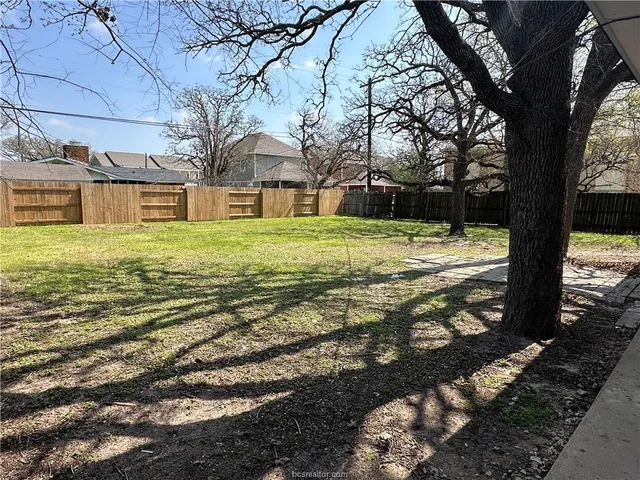 a big yard with some trees
