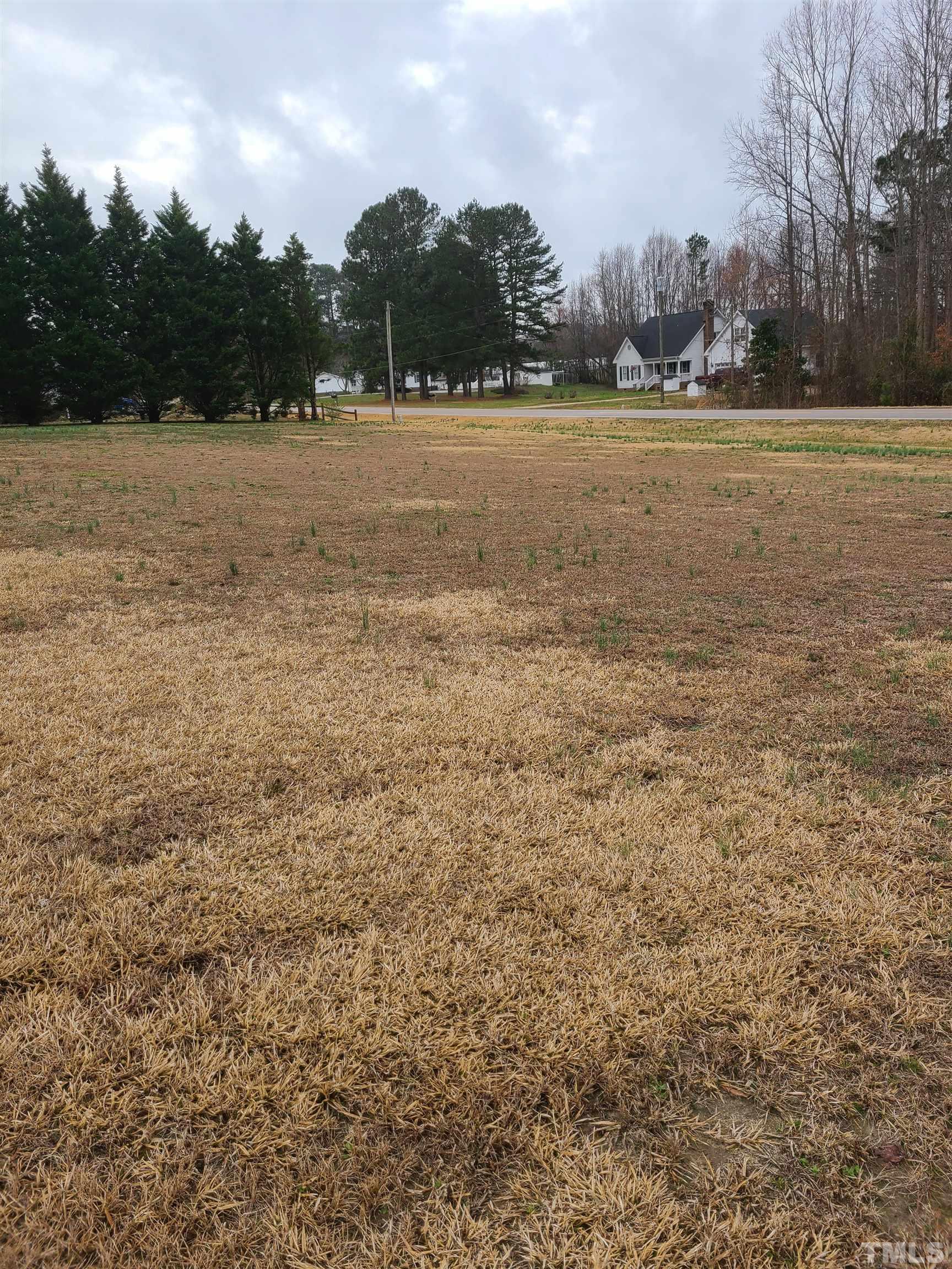 1545 Cheves Road Zebulon, NC 27597 - Photo 3 of 28 a view of outdoor space with trees