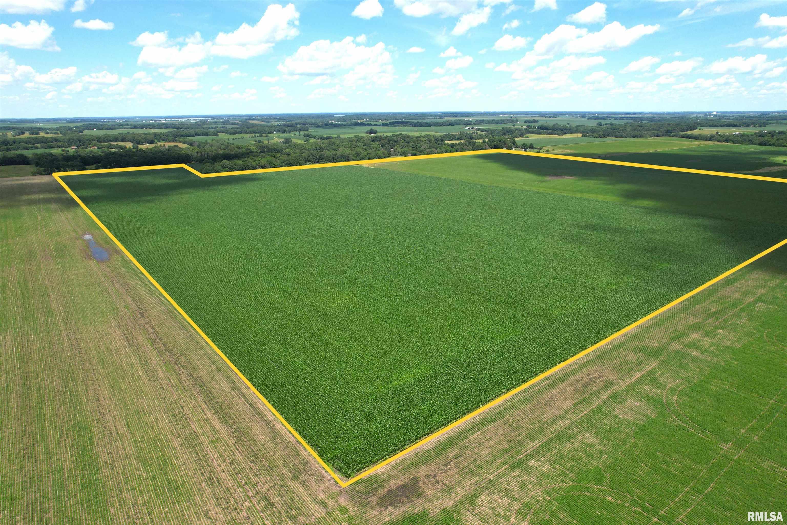 Merritt Blacktop Road Jacksonville, IL 62650 - Photo 7 of 14