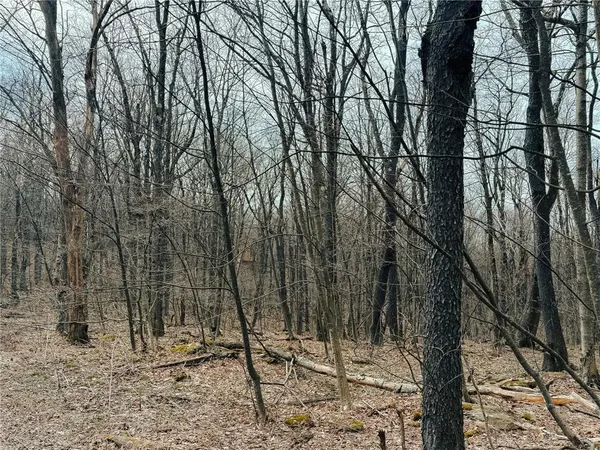 $79,000 | Lot F-1 Fern Mountain Road, Somerset, PA 15501