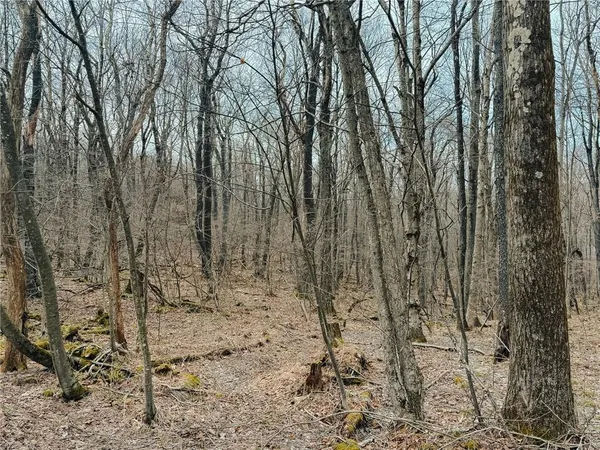 $79,000 | Lot F-1 Fern Mountain Road, Somerset, PA 15501