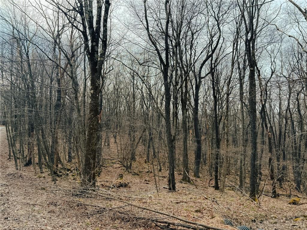 Lot F-1 Fern Mountain Road Somerset, PA 15501 - Photo 5 of 6