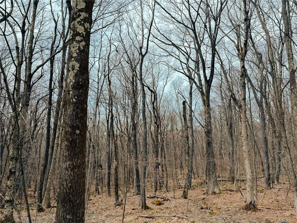 Lot F-1 Fern Mountain Road Somerset, PA 15501 - Photo 6 of 6