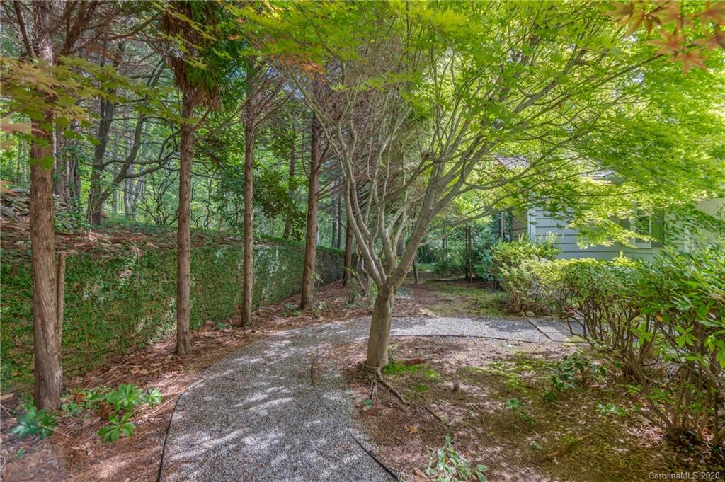 300 Doubleday Road Tryon, NC 28782 - Photo 4 of 38 a view of a forest with trees