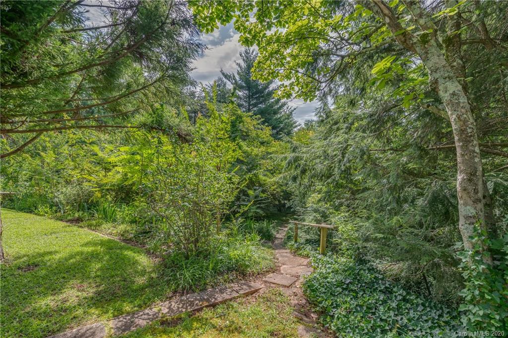 300 Doubleday Road Tryon, NC 28782 - Photo 33 of 38 a view of a forest with a tree