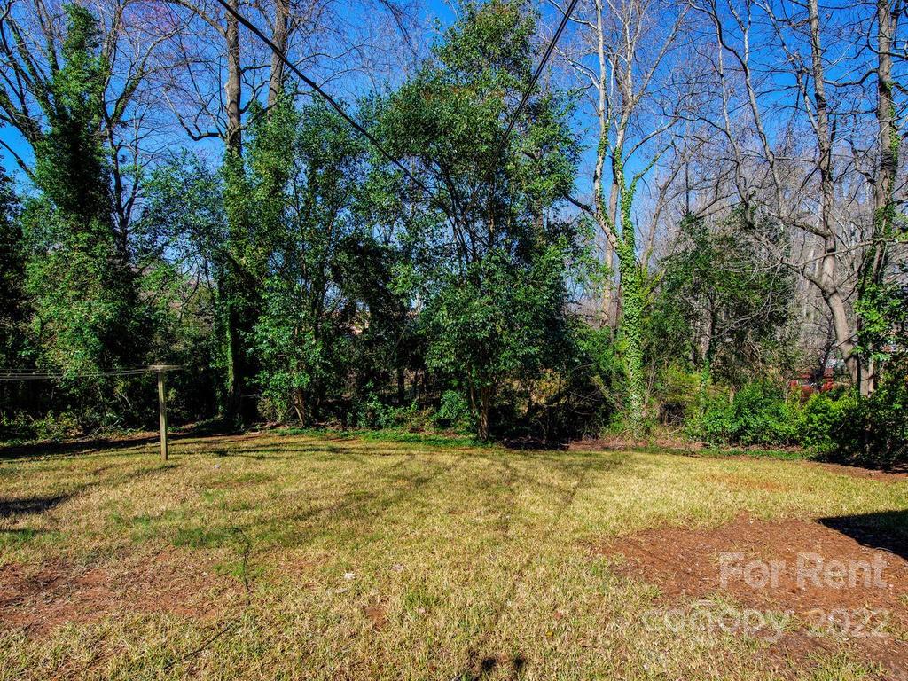 943 B Norland Road, Unit B Charlotte, NC 28205 - Photo 15 of 17 a view of outdoor space with trees