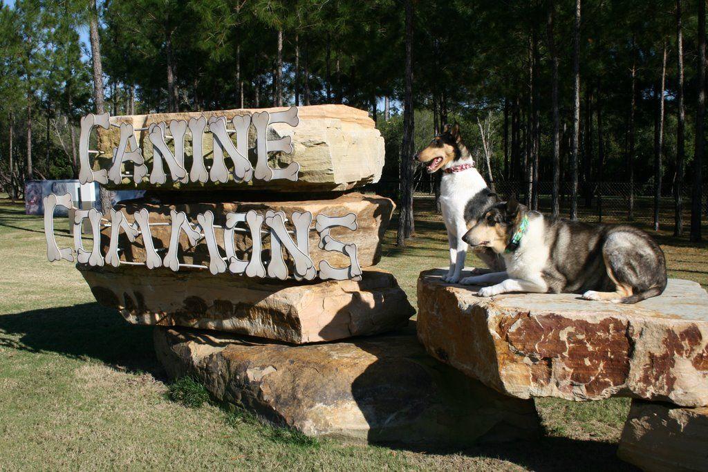 418 Windchime Way Freeport, FL 32439 - Photo 47 of 53 Canine Commons