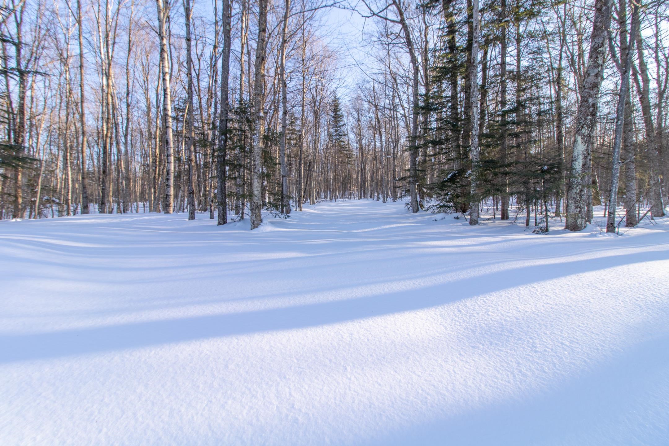 980 Paradis Mountain Road Brighton, VT 05846 - Photo 40 of 41 Gallery Image 40