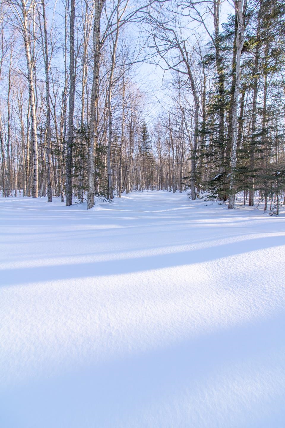 980 Paradis Mountain Road Brighton, VT 05846 - Photo 41 of 41 Gallery Image 41
