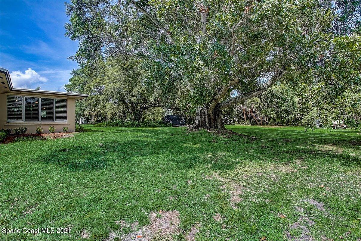 805 Knecht Road Northeast Palm Bay, FL 32905 - Photo 38 of 42 a view of green field with trees in the background