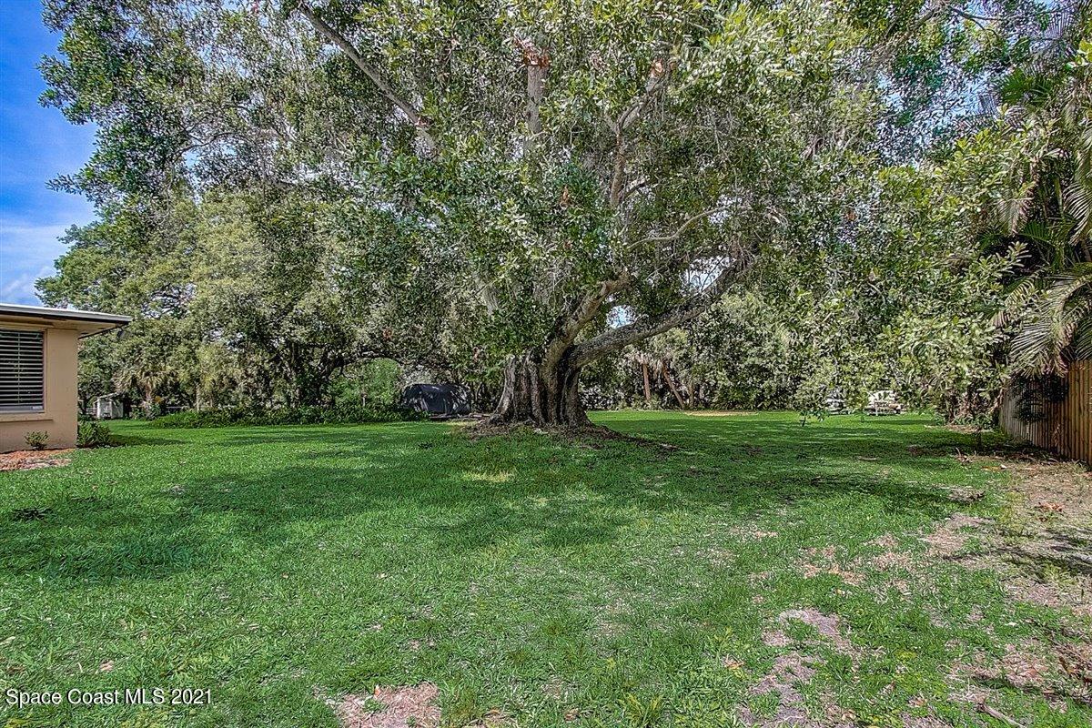 805 Knecht Road Northeast Palm Bay, FL 32905 - Photo 39 of 42 a view of a grassy field with trees